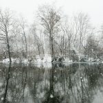 bare trees on snow covered ground beside river during daytime