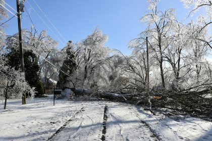 Fallen tree blocks road after ice storm