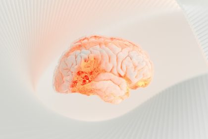 a close up of a human brain on a white surface