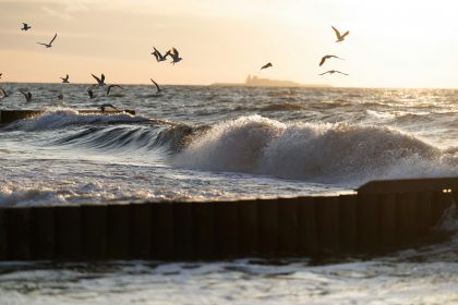 Seagulls fly over choppy ocean waves at sunset.
